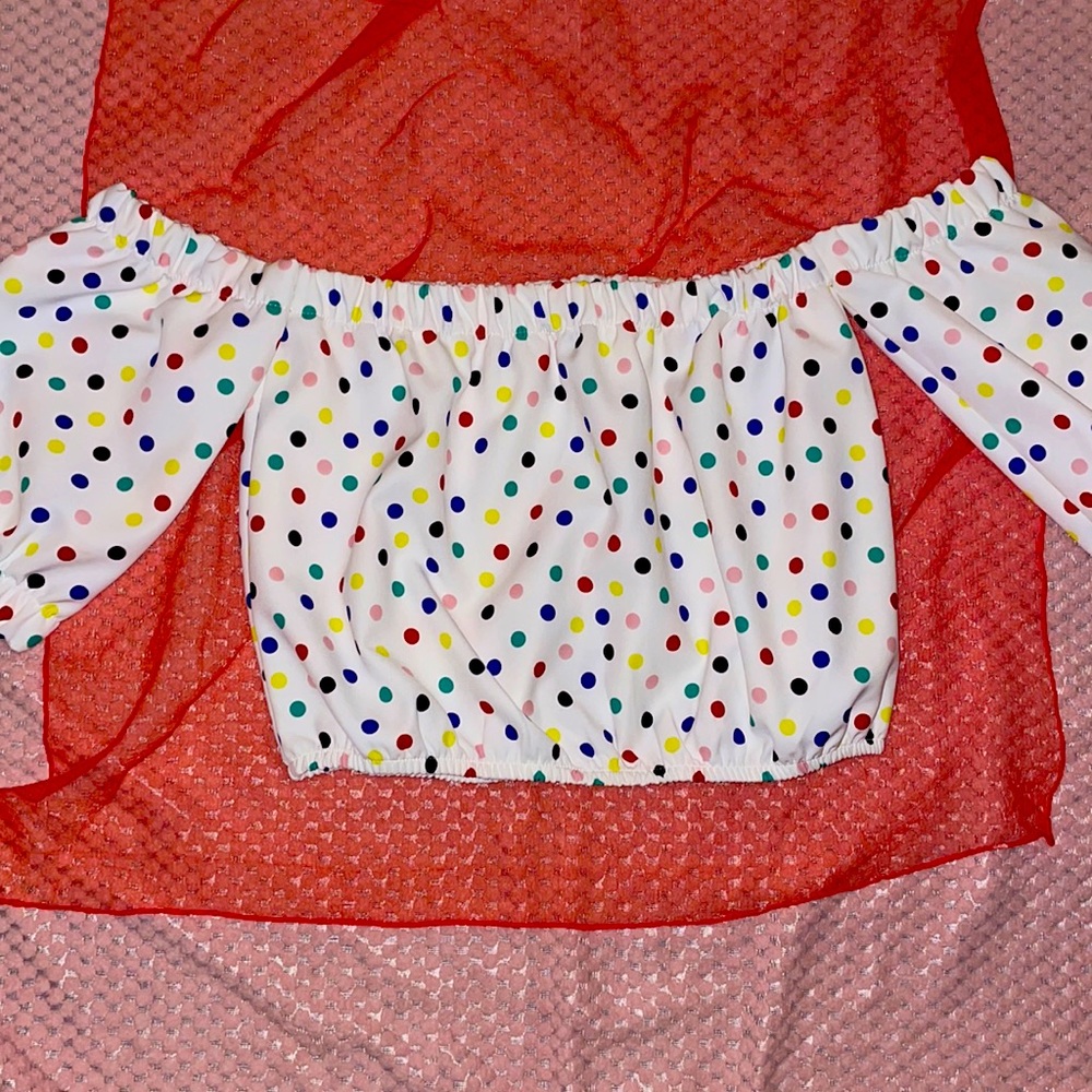 Zara polka dot crop top